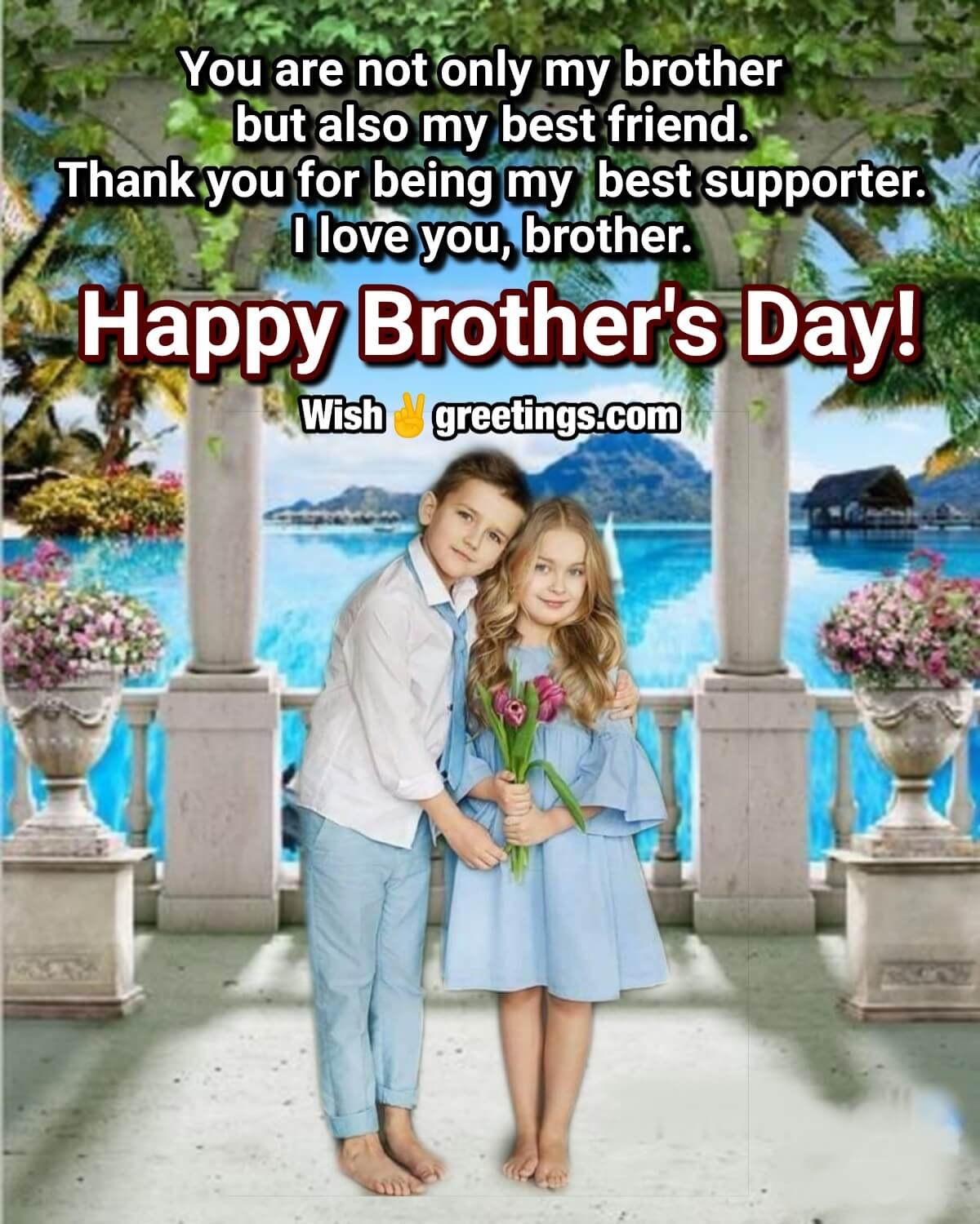 Best Brothers Day Image