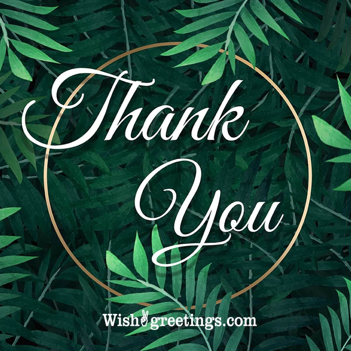 Thank You Leaves Image