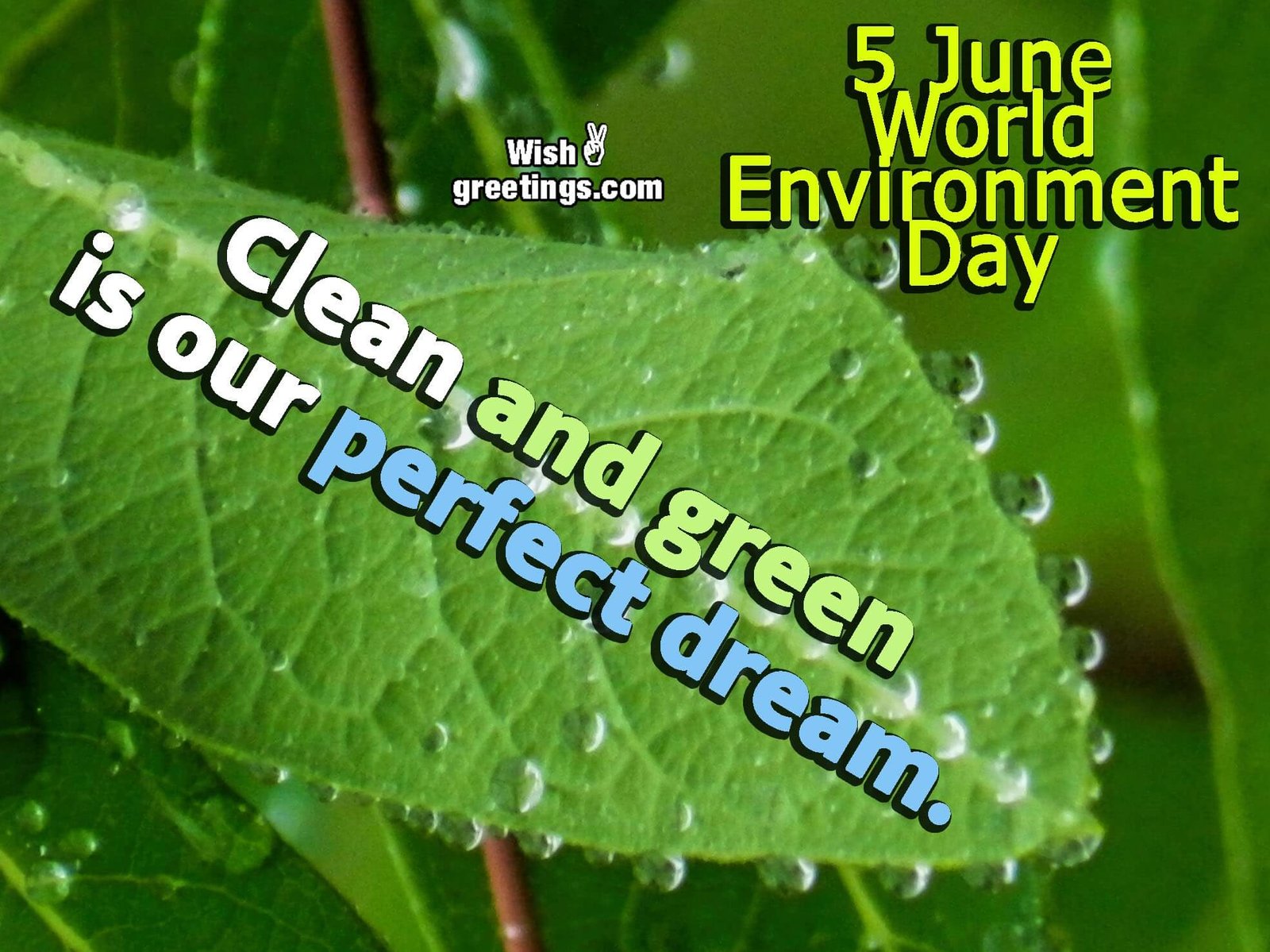 5 June World Environment Day Image