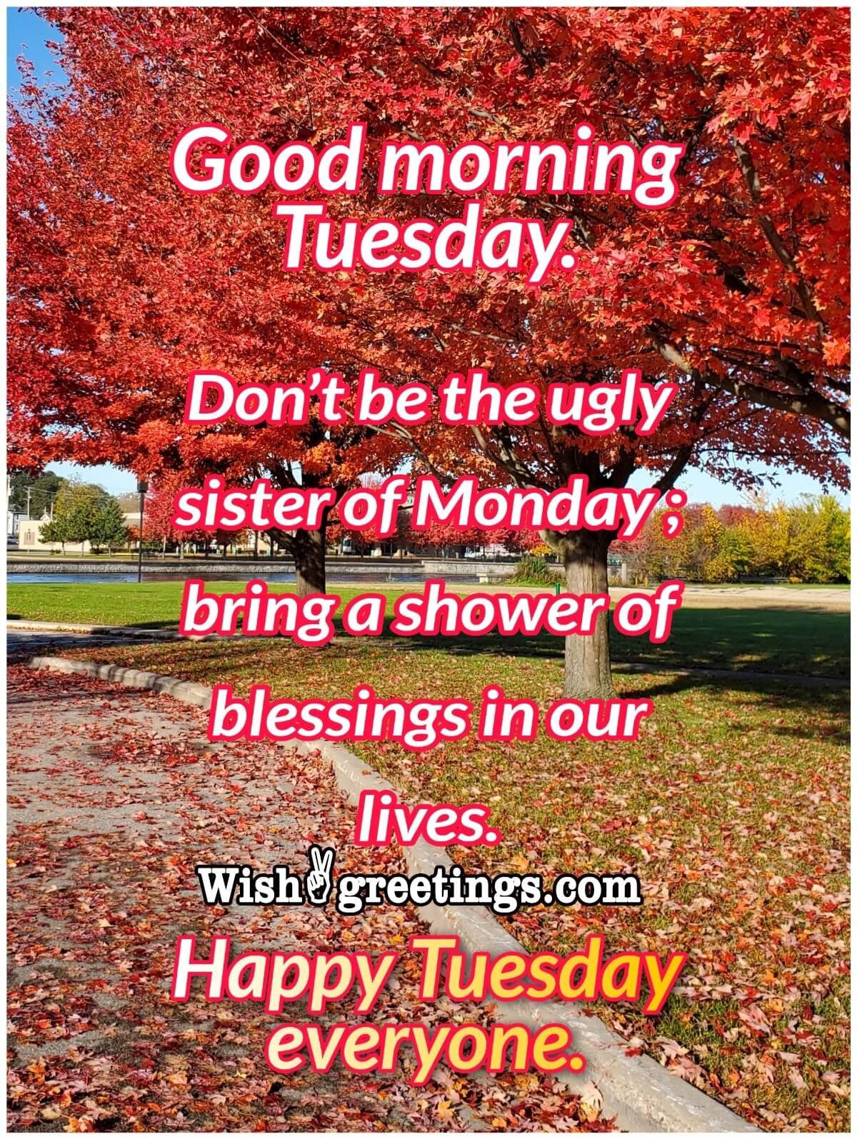 Tuesday Morning Wishes - Wish Greetings