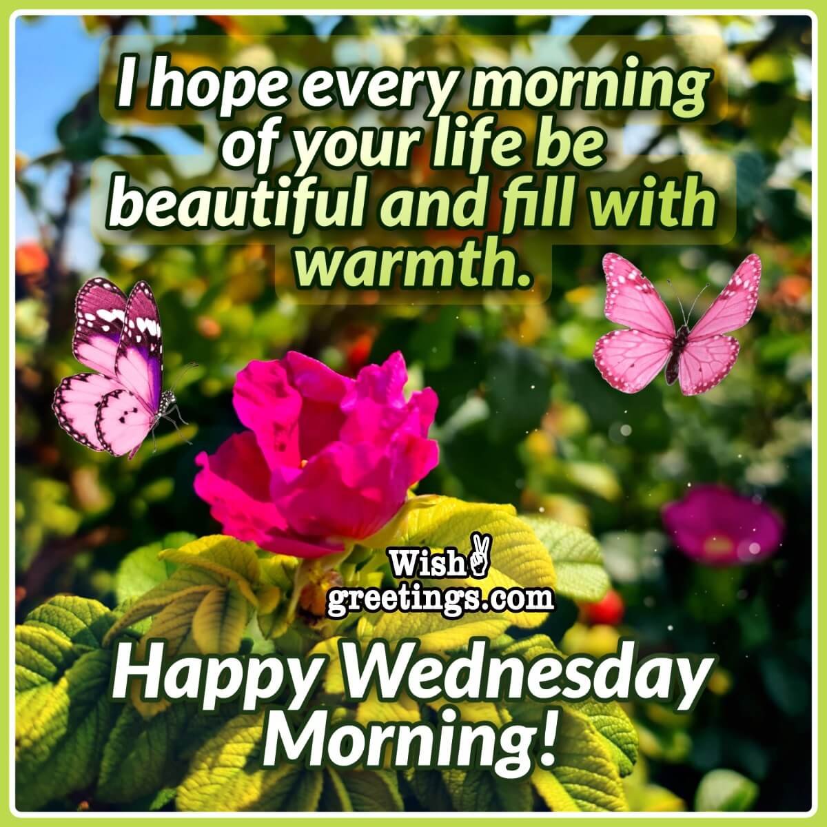Happy Wednesday Morning Wish Image