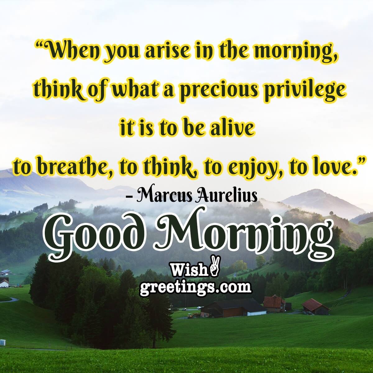 Good Morning Quotes - Wish Greetings