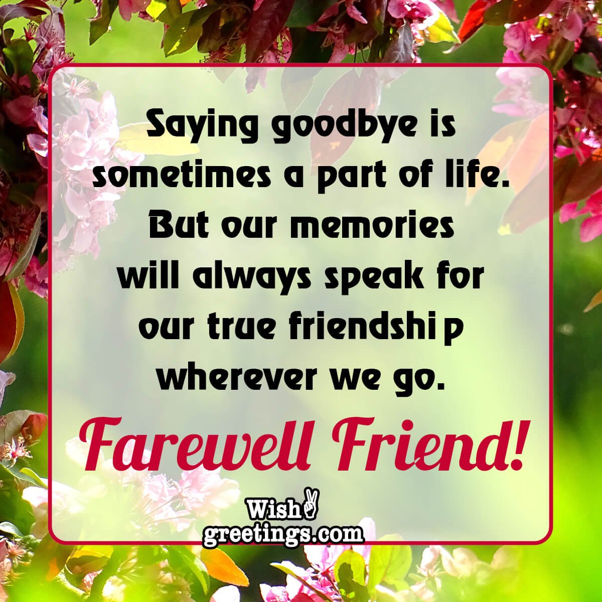 Farewell Friend!