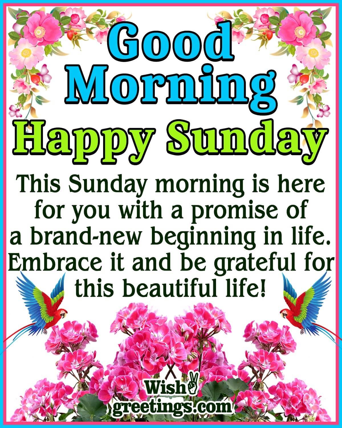 Happy Sunday Morning Greetings - Wish Greetings