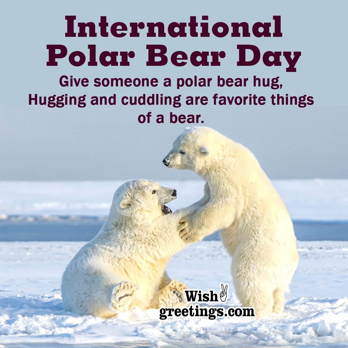 International Polar Bear Day Messages Wish Greetings