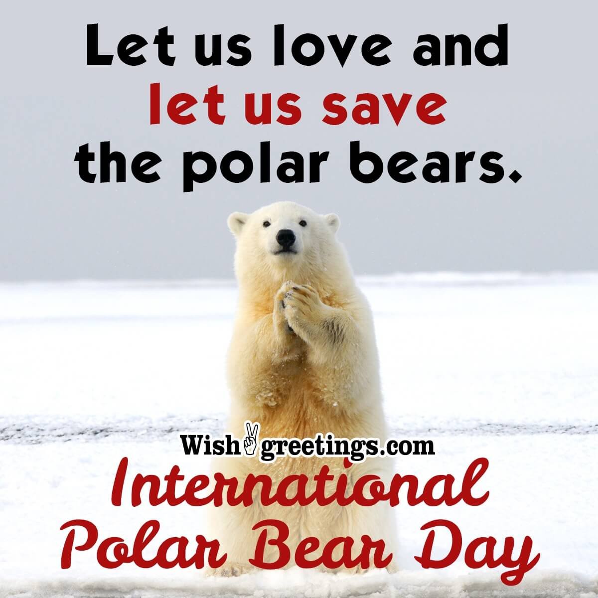 International Polar Bear Day Quote