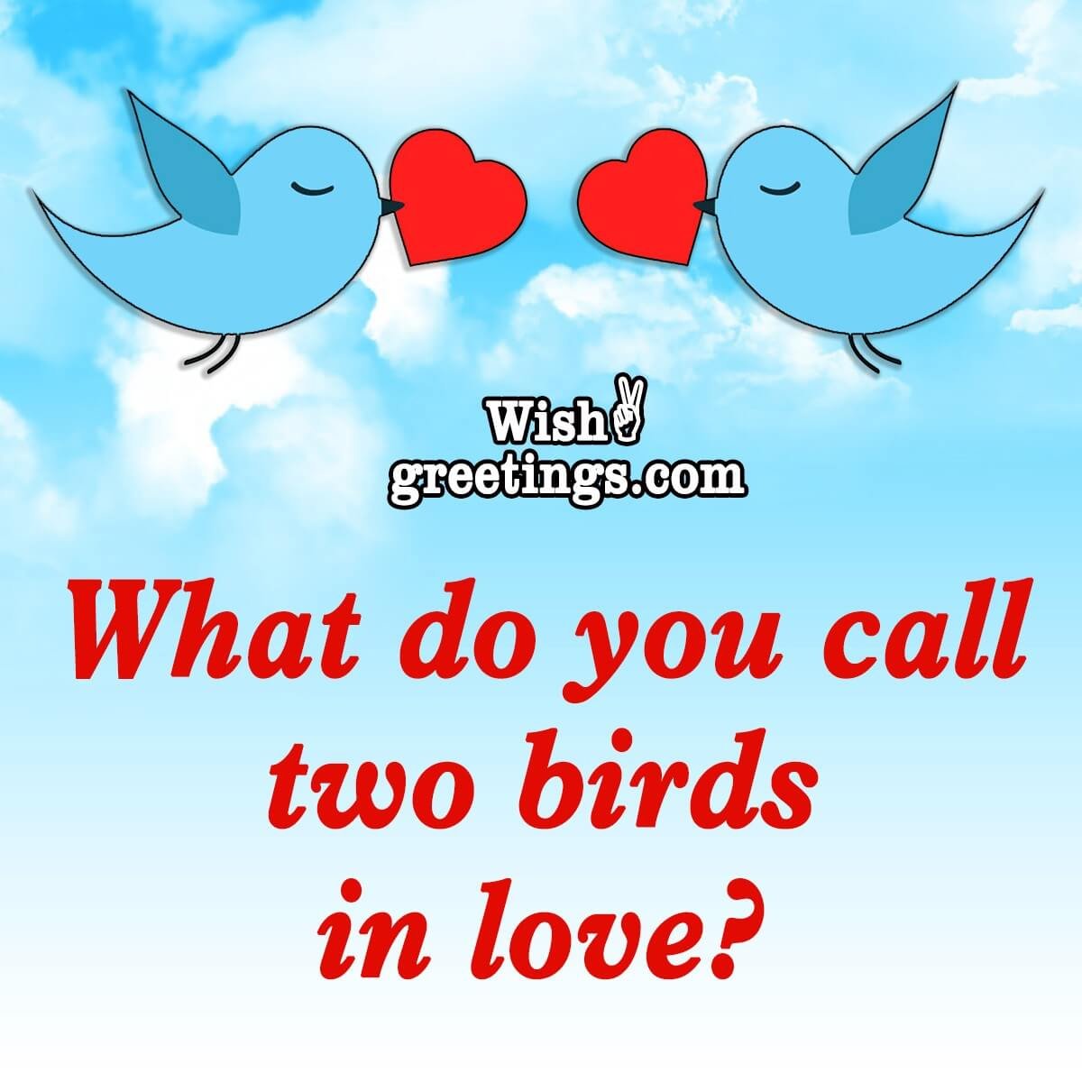 Love Riddle Two Birds