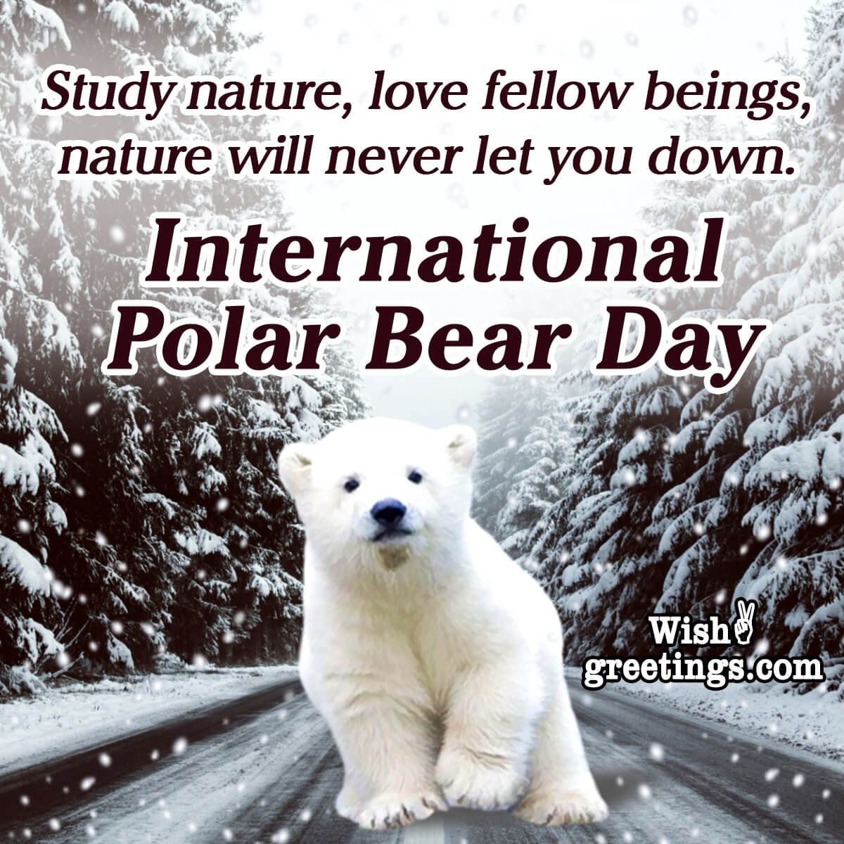Polar Bear Love Quote