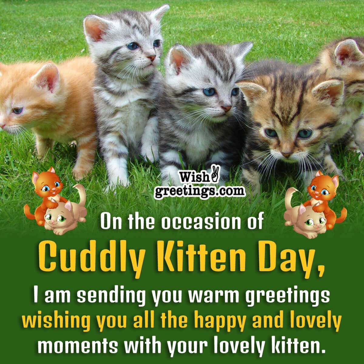 Cuddly Kitten Day Greeting Photo