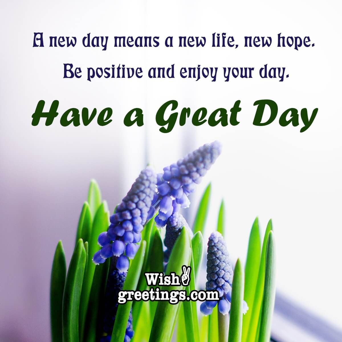 have a great day messages