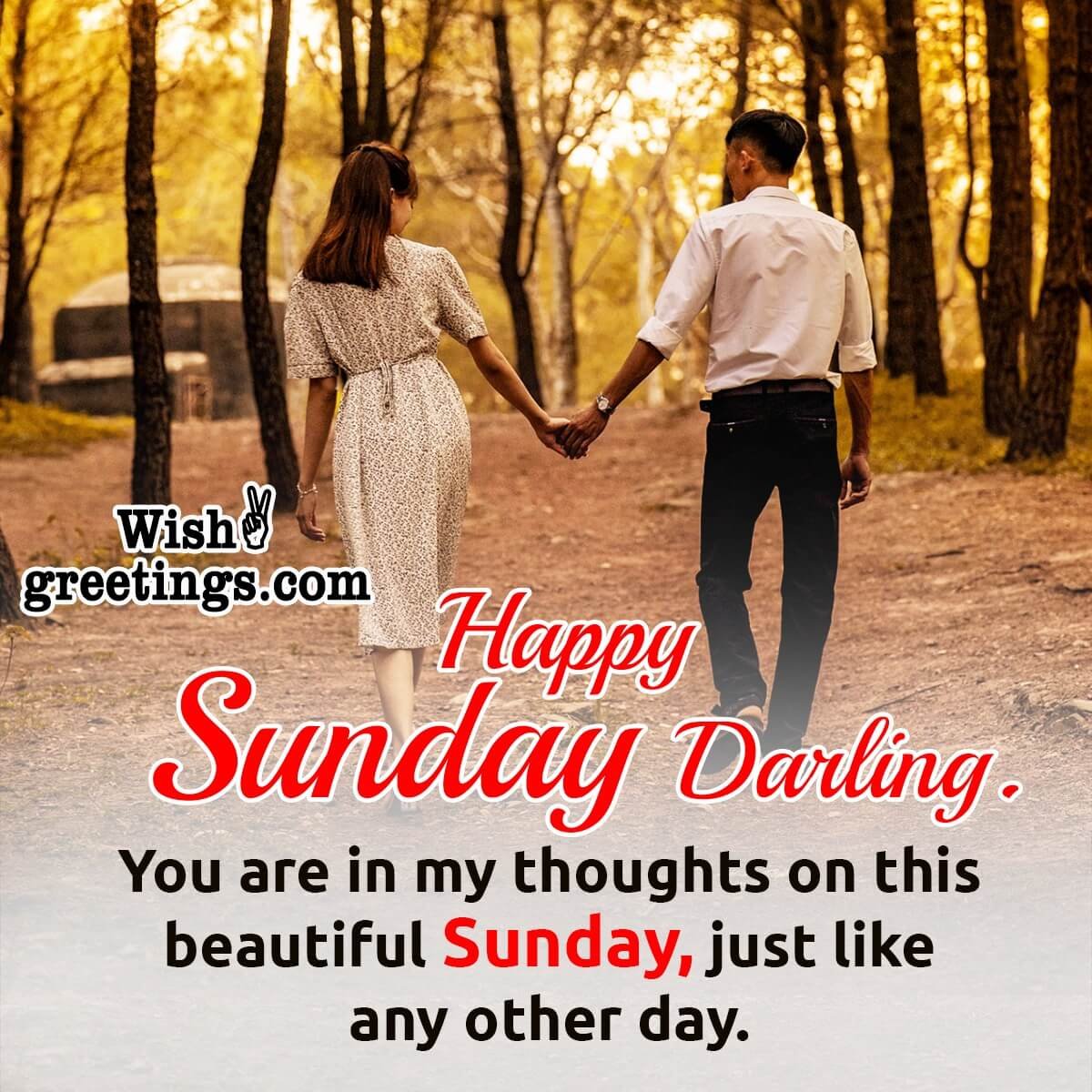 Happy Sunday Darling