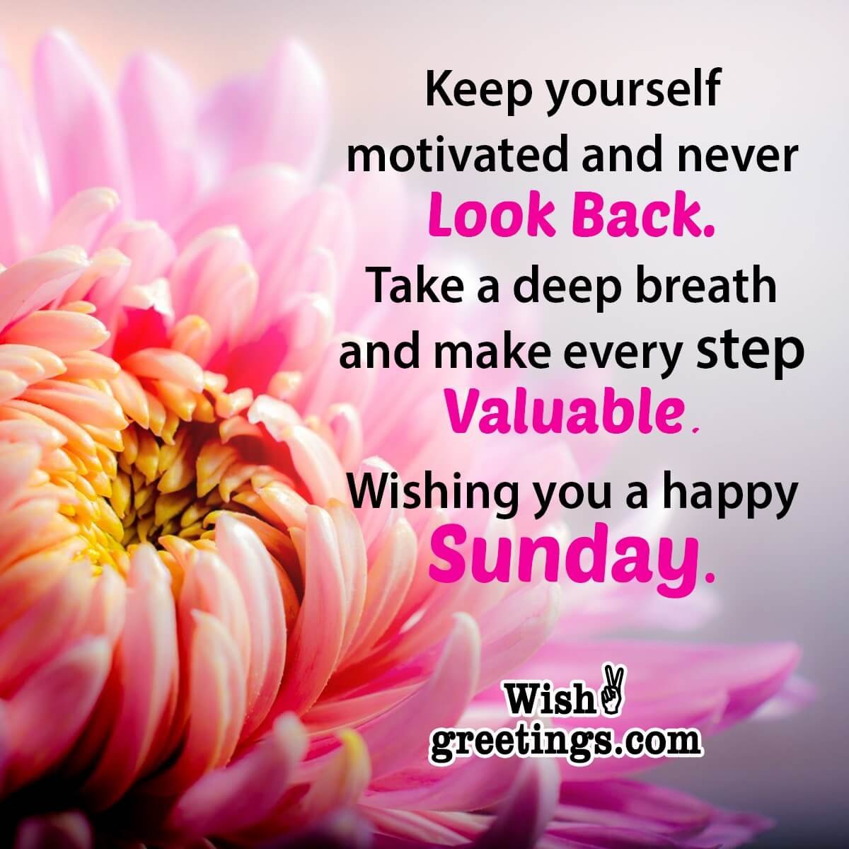 Happy Sunday Wishes Messages