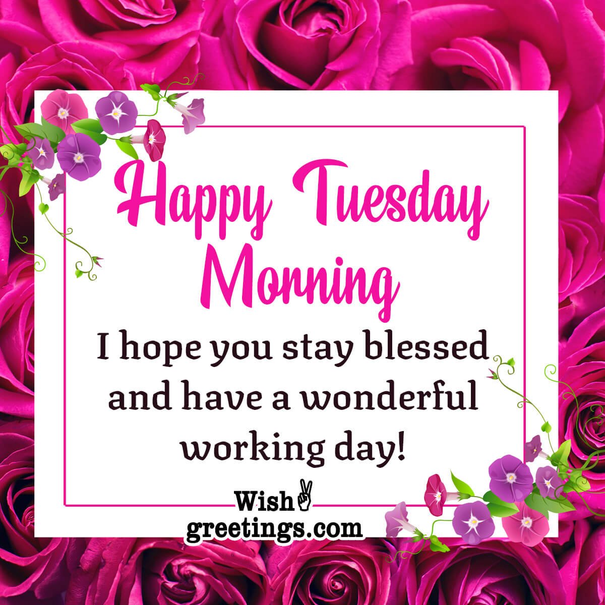 Happy Tuesday Morning Wishes