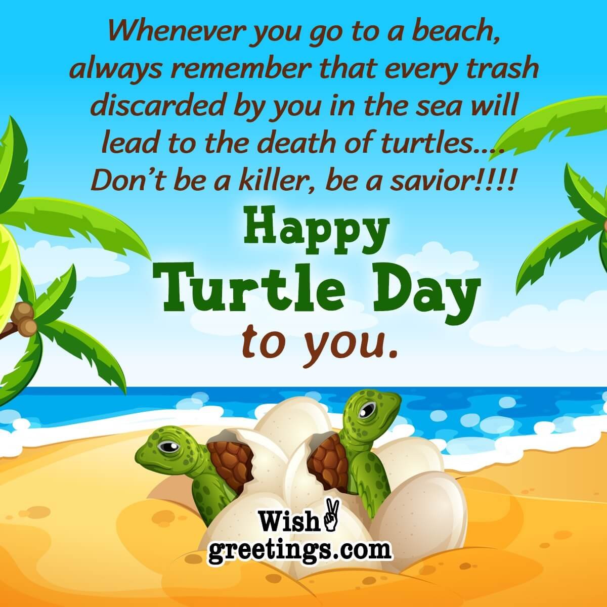 Happy Turtle Day Image