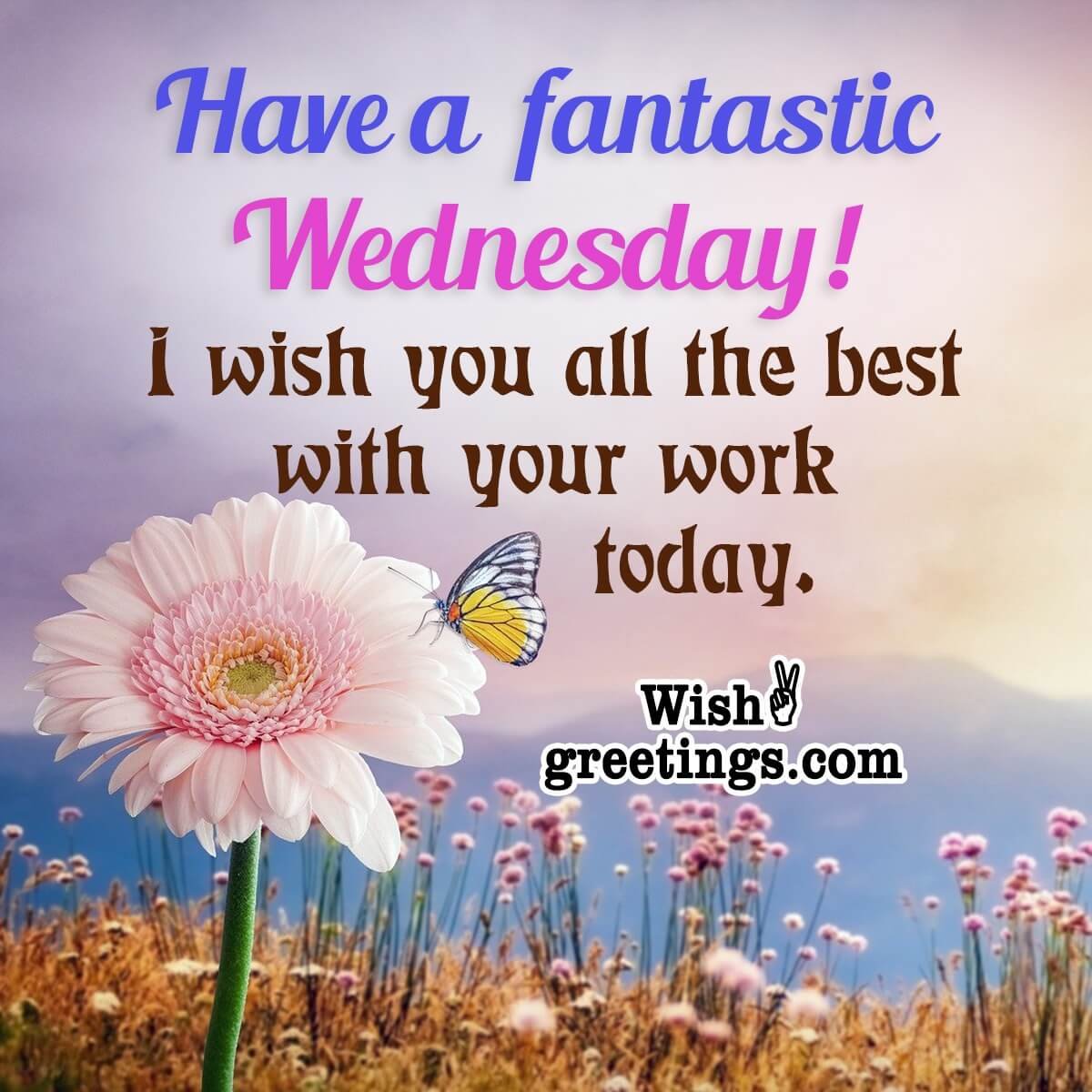 Happy Wednesday Wishes - Wish Greetings