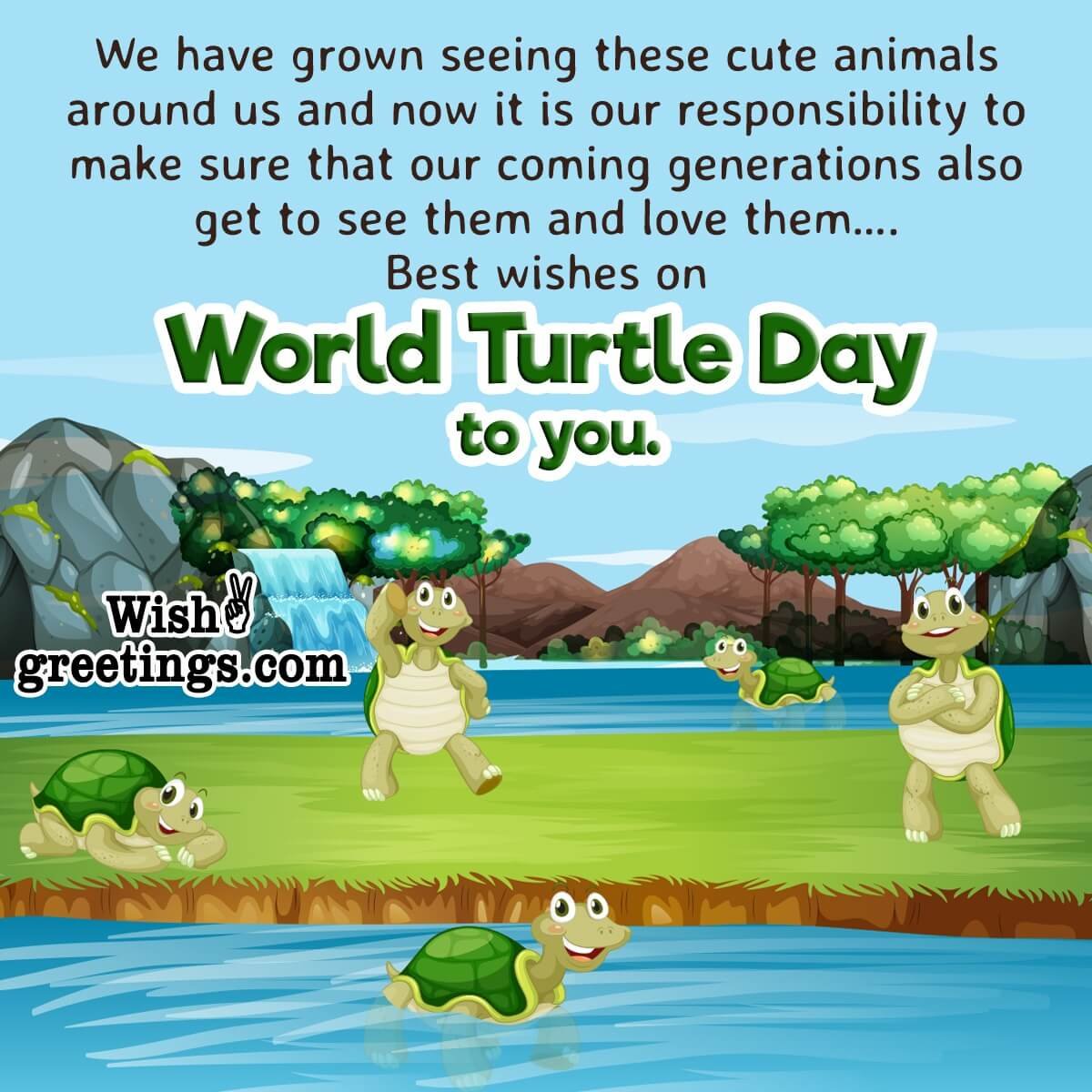 World Turtle Day Message