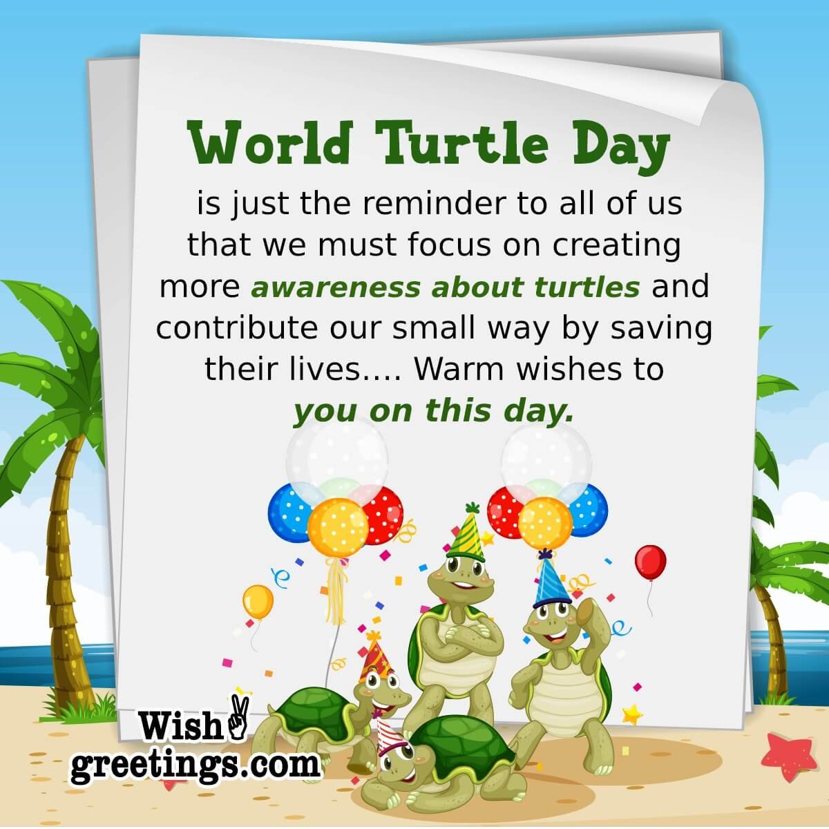 World Turtle Day Messages