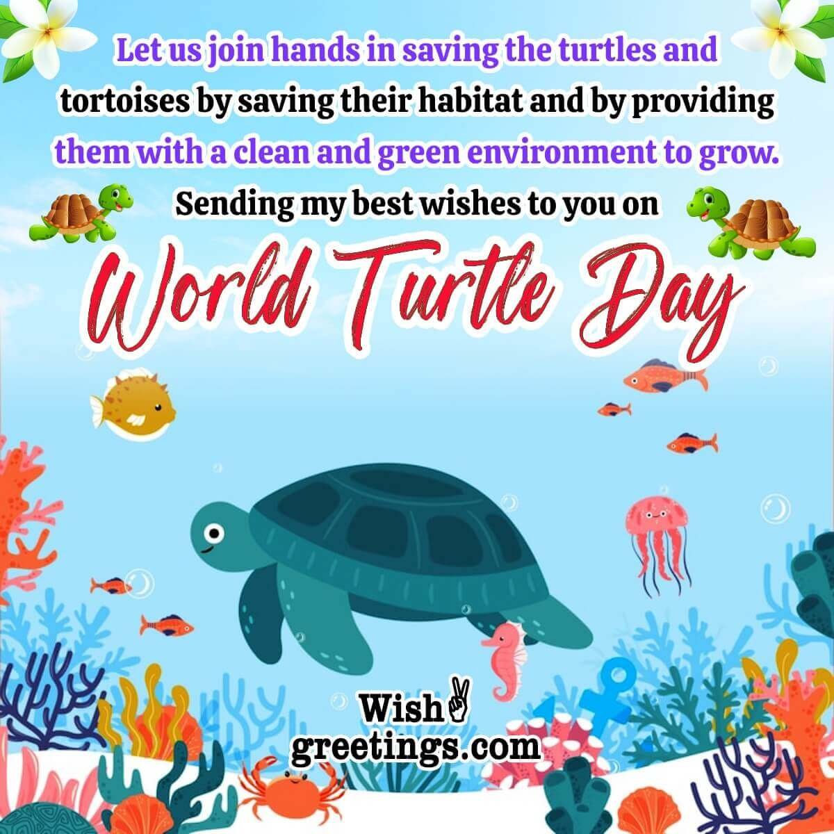 World Turtle Day Wishes Messages Quotes