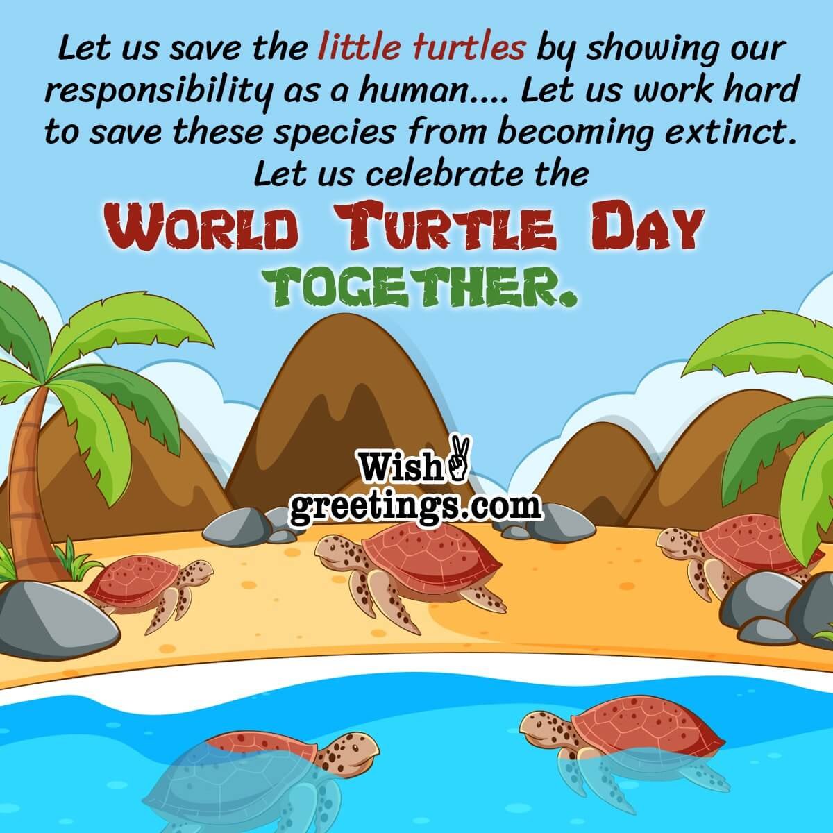 World Turtle Day Wishes Messages