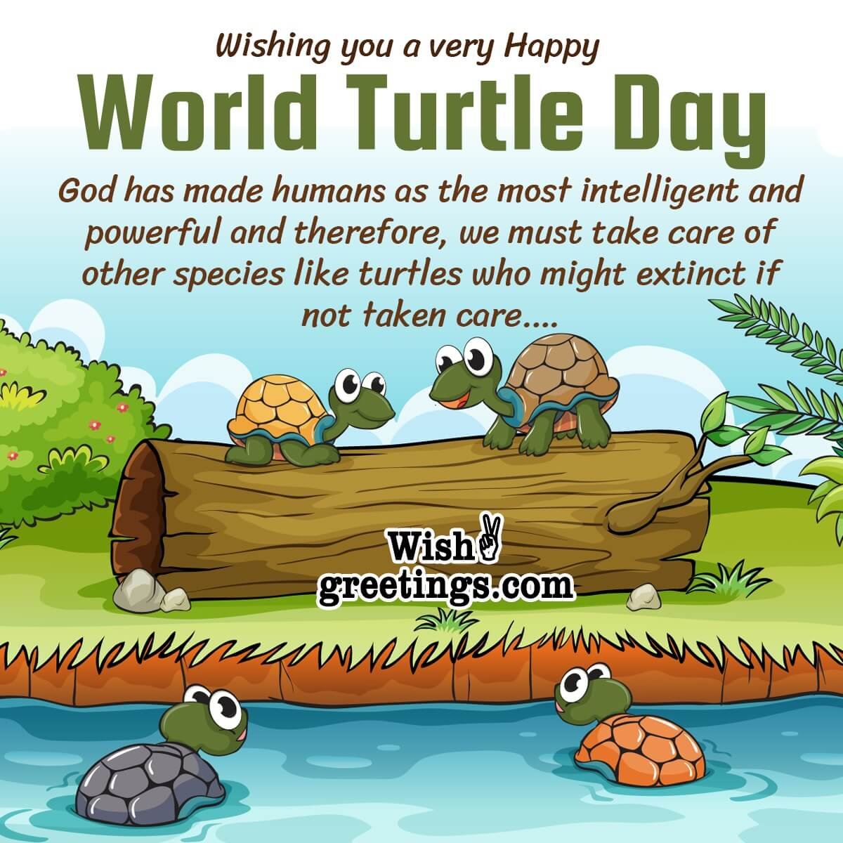 World Turtle Day Wishes