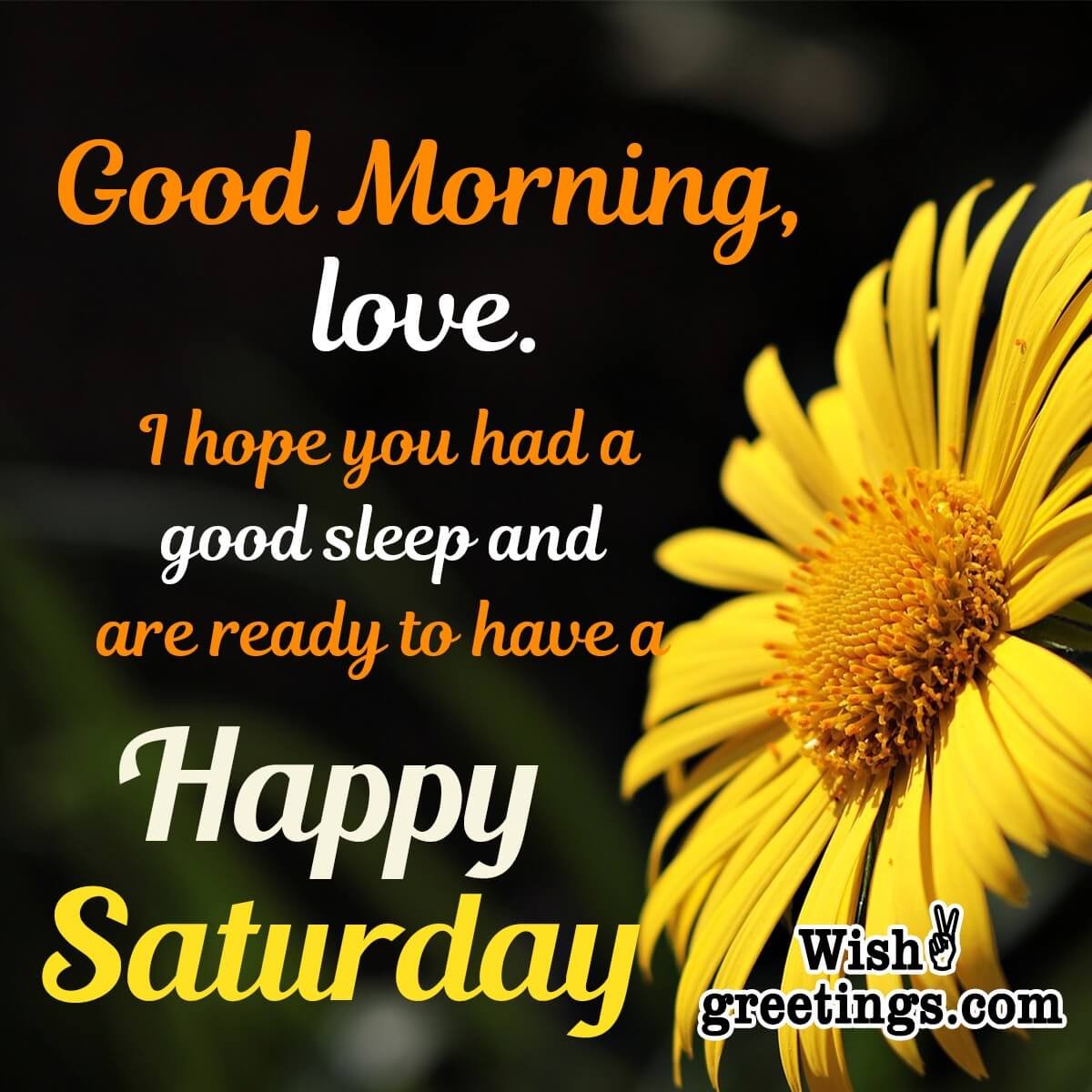 Saturday Morning Wishes - Wish Greetings