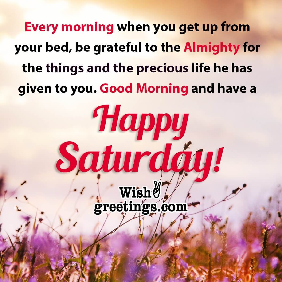 Saturday Morning Wishes - Wish Greetings