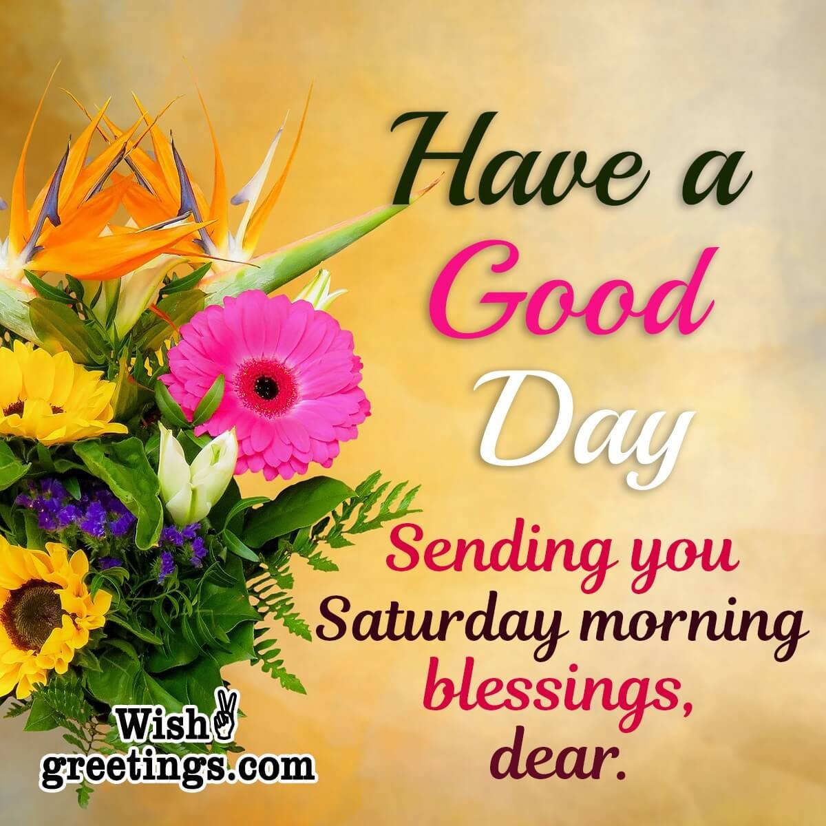 Saturday Morning Wishes - Wish Greetings