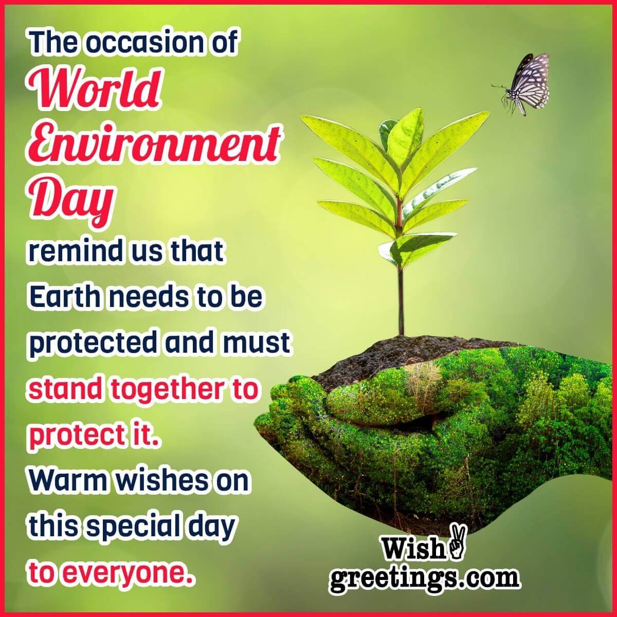 World Environment Day Status Photo