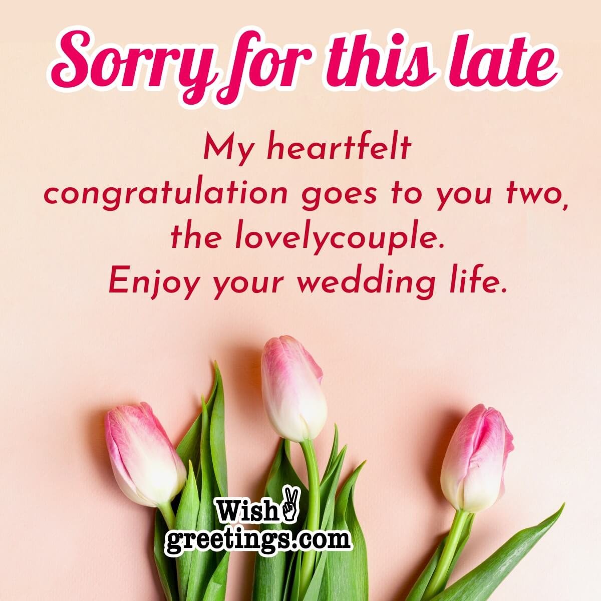 Sorry For Late Wedding Wishes