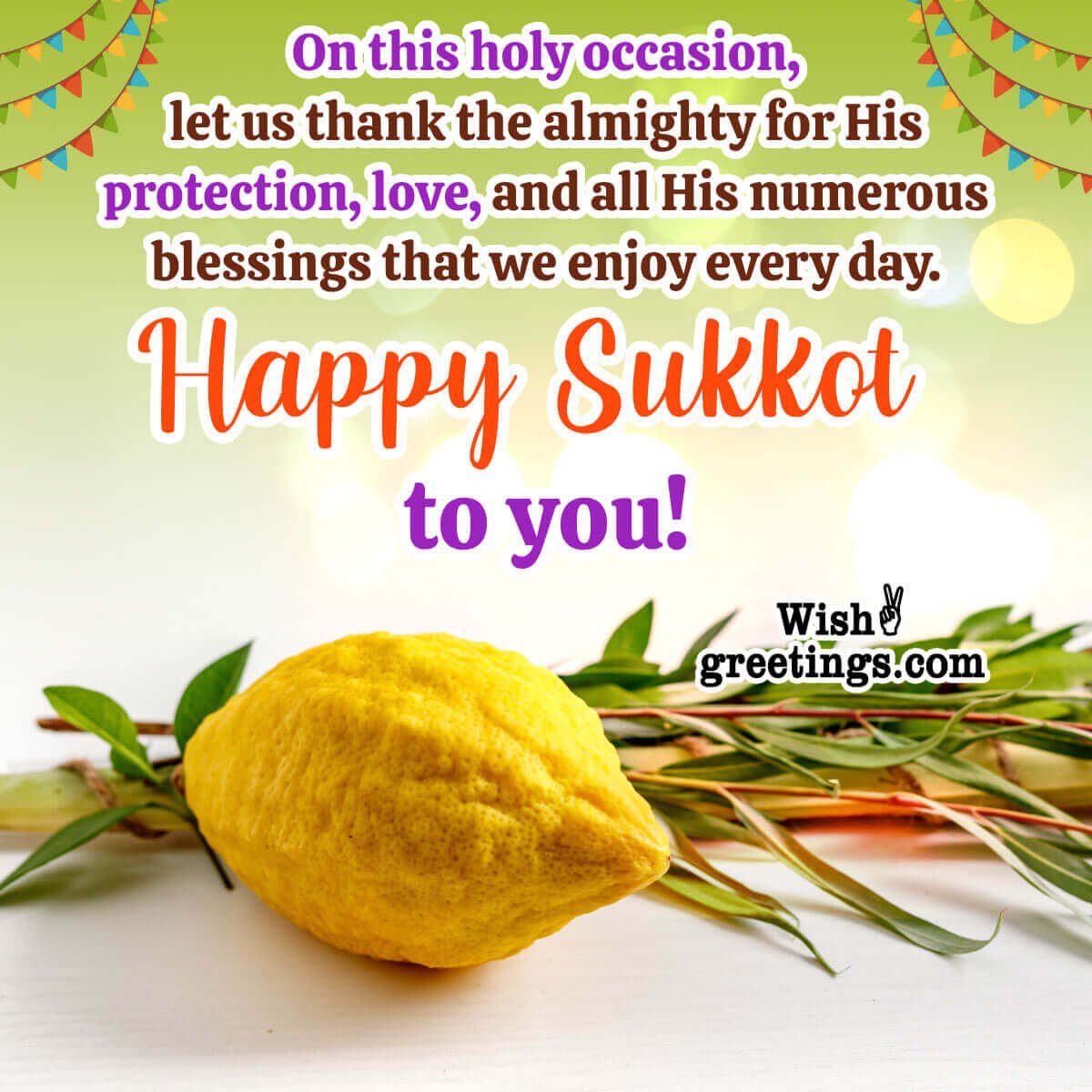 Sukkot Wishes Messages