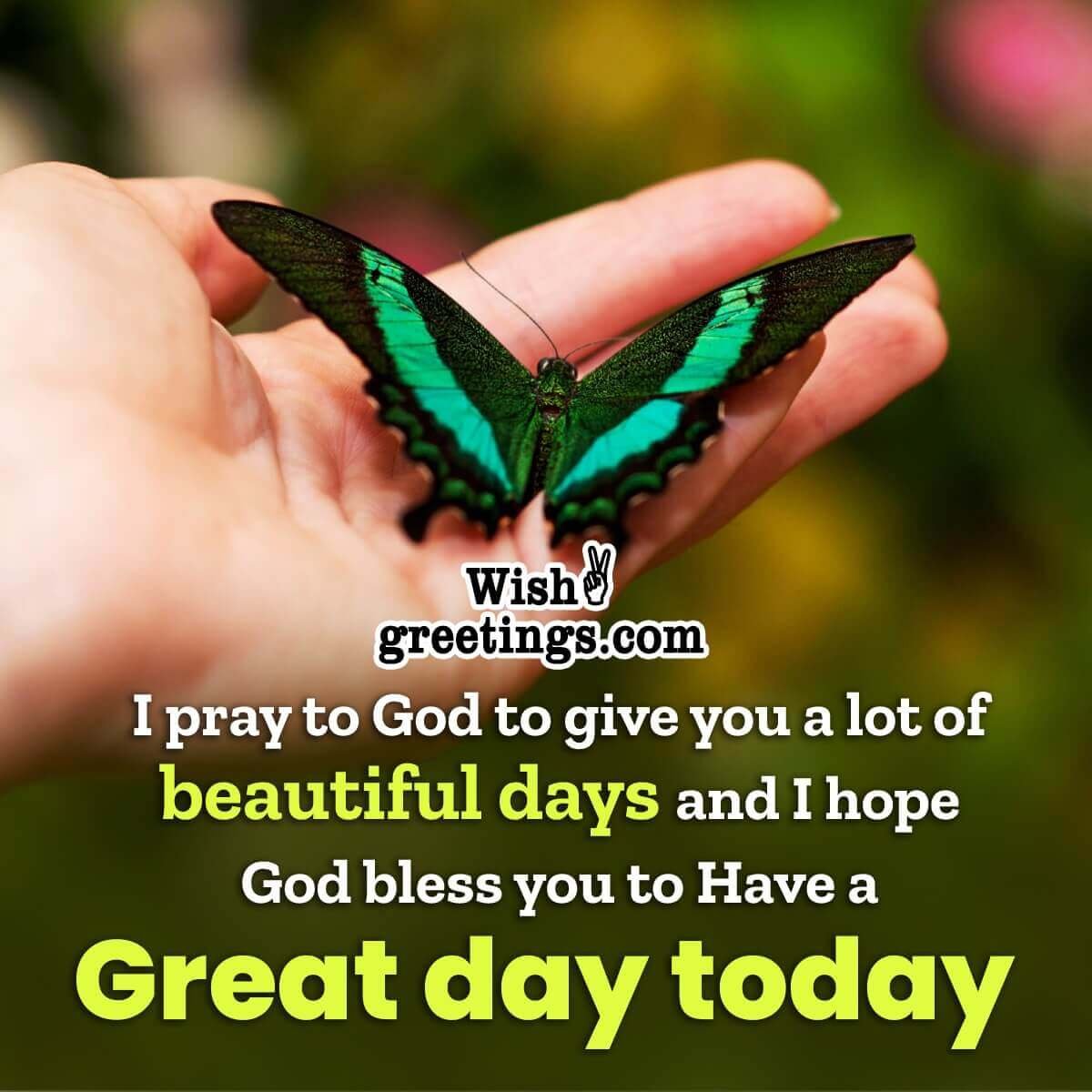 Have A Great And Blessed Day Message Image