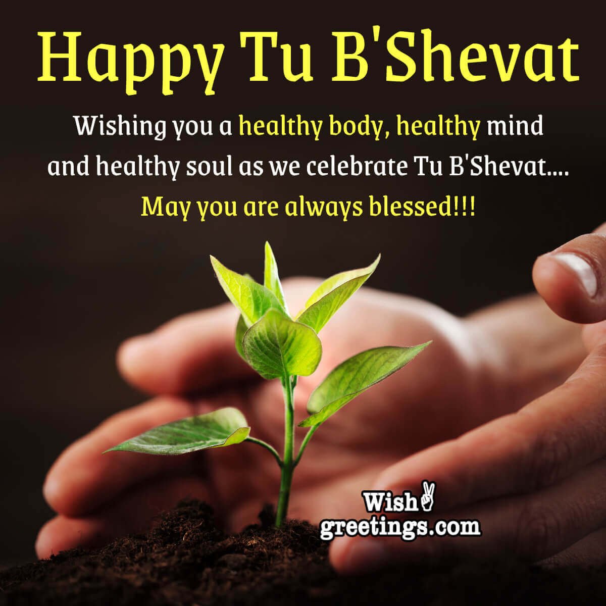 Tu B’Shevat Wishes Messages