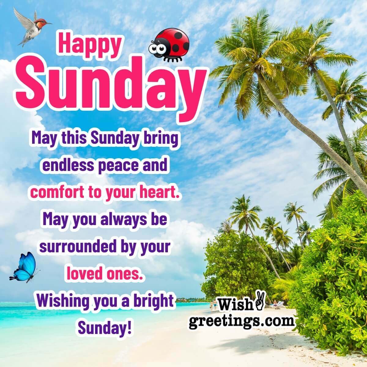 Sunday Images And Messages At Ann Bunch Blog