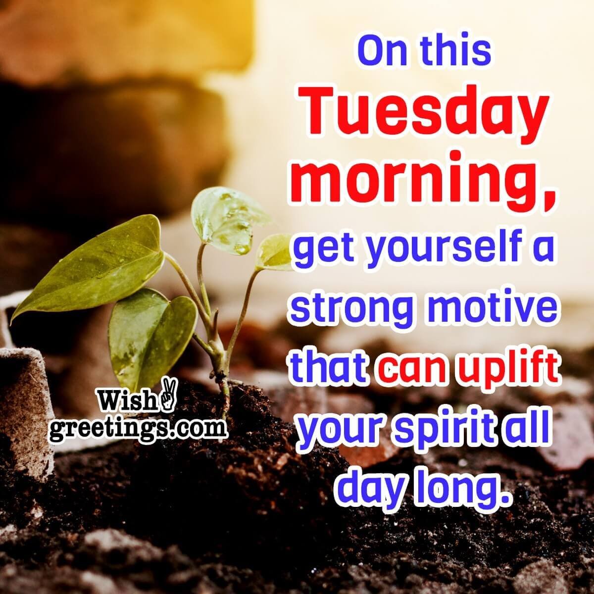 Tuesday Morning Wishes - Wish Greetings