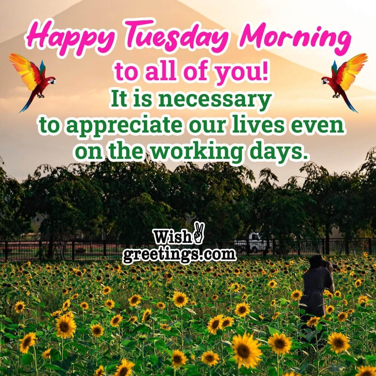 Tuesday Morning Wishes - Wish Greetings