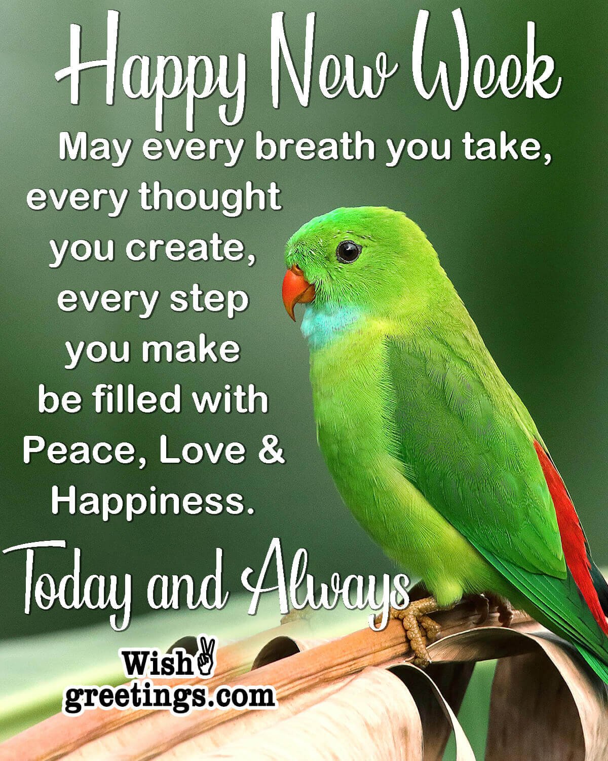 Happy New Week Status Picture