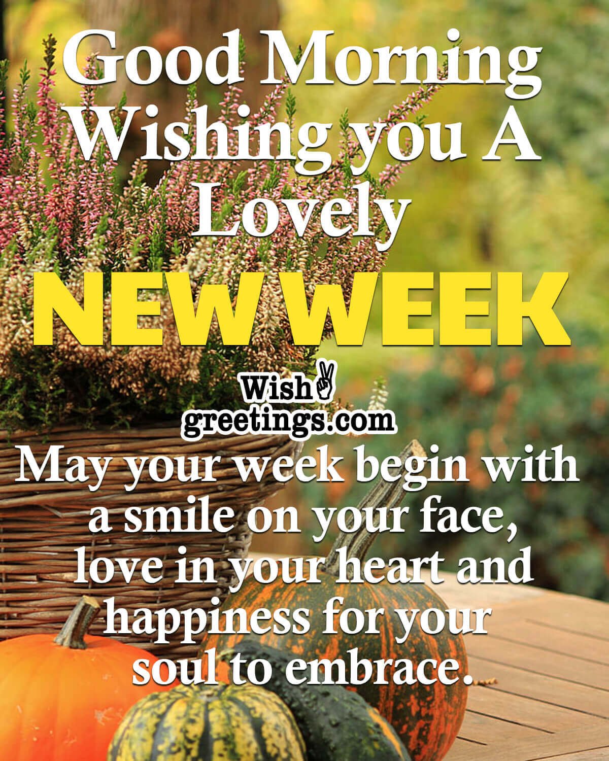 Lovely New Week Message Pic