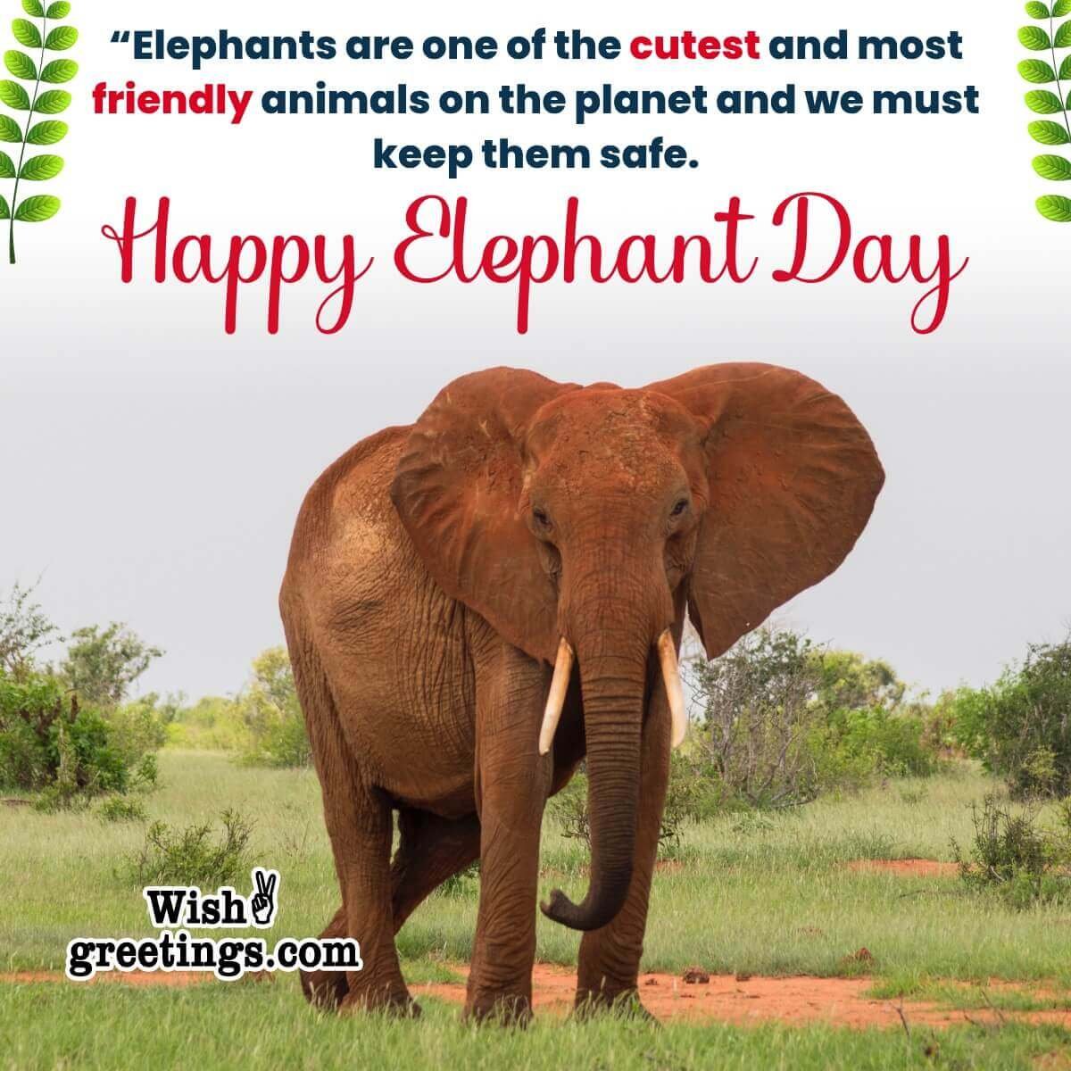 World Elephant Day Messages Quotes