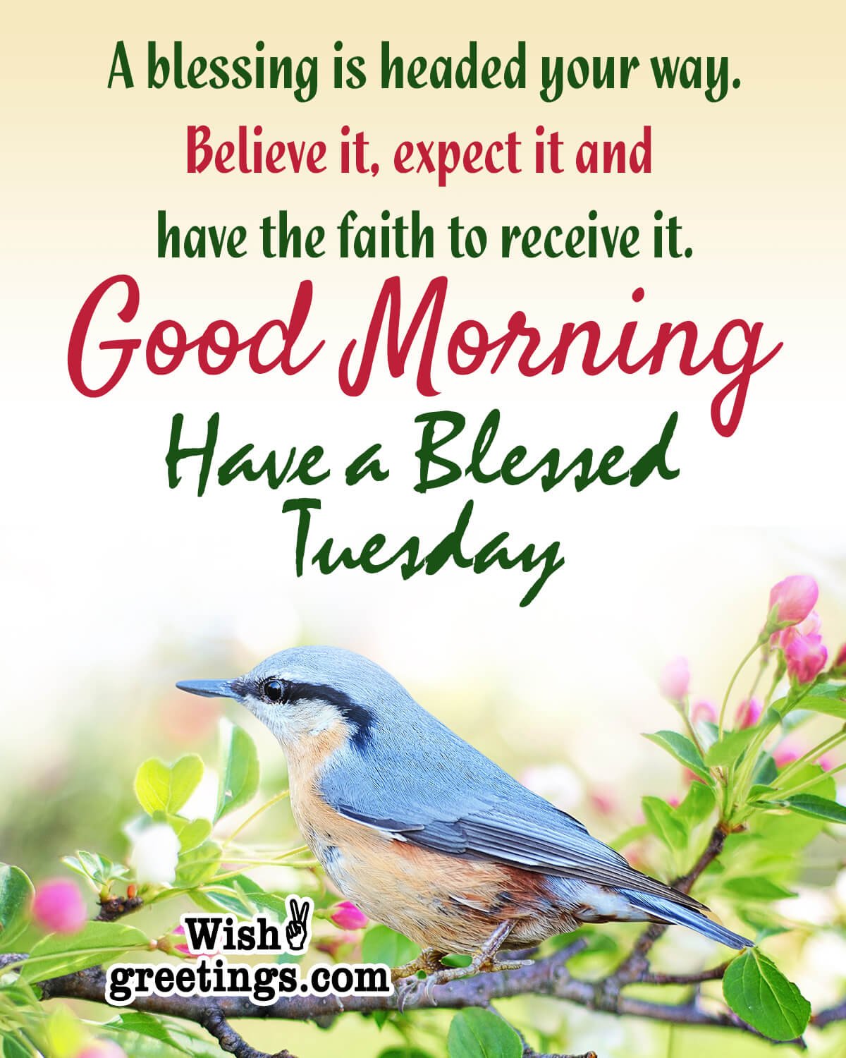 Good Morning Tuesday Blessing Quote