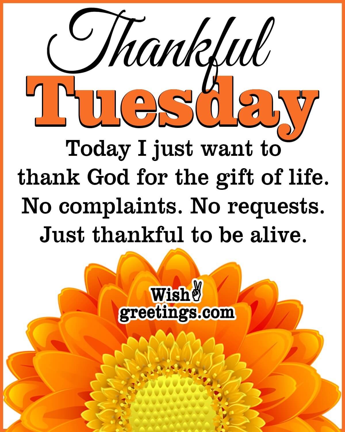 Best Tuesday Morning Wishes Quotes