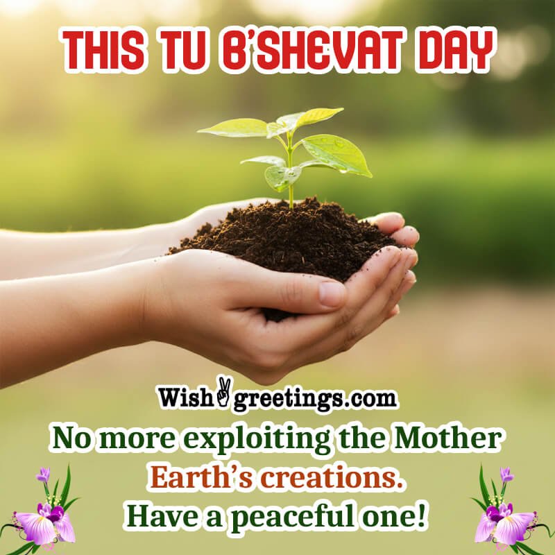 Have A Peaceful Tu Bishvat Day Greeting Image