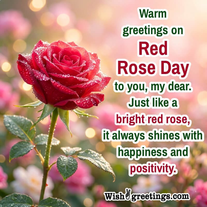 Warm Greetings On Red Rose Day To You My Dear Best Pic